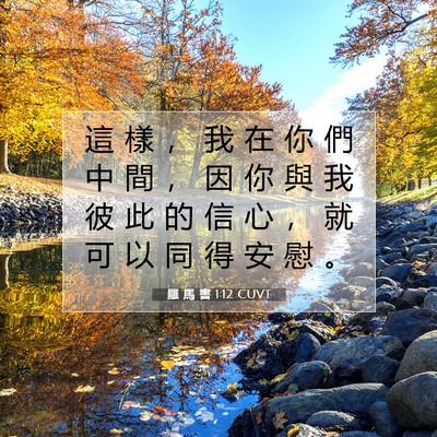 Picture 07 - 羅 馬 書 1:12 CUVT - 這 樣 ， 我 在 你 們 中 間 ， 因 你 - Bible Verse Picture