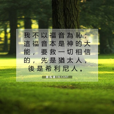 Picture 07 - 羅 馬 書 1:16 CUVT - 我 不 以 福 音 為 恥 ； 這 福 音 本 - Bible Verse Picture