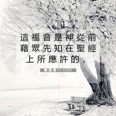 Picture 07 - 羅 馬 書 1:2 CUVT - 這 福 音 是 神 從 前 藉 眾 先 知 在 - Bible Verse Picture