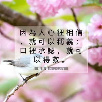 Picture 07 - 羅 馬 書 10:10 CUVT - 因 為 人 心 裡 相 信 ， 就 可 以 稱 - Bible Verse Picture