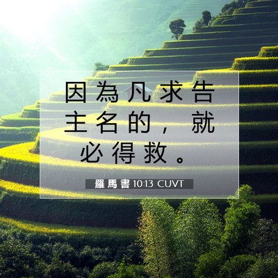 Picture 07 - 羅 馬 書 10:13 CUVT - 因 為 凡 求 告 主 名 的 ， 就 必 得 - Bible Verse Picture