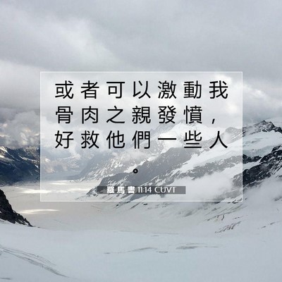 Picture 07 - 羅 馬 書 11:14 CUVT - 或 者 可 以 激 動 我 骨 肉 之 親 發 - Bible Verse Picture
