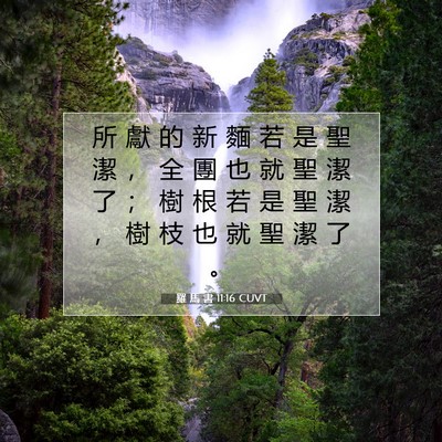 Picture 07 - 羅 馬 書 11:16 CUVT - 所 獻 的 新 麵 若 是 聖 潔 ， 全 團 - Bible Verse Picture