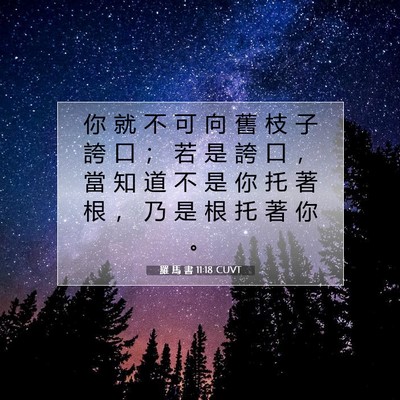 Picture 07 - 羅 馬 書 11:18 CUVT - 你 就 不 可 向 舊 枝 子 誇 口 ； 若 - Bible Verse Picture