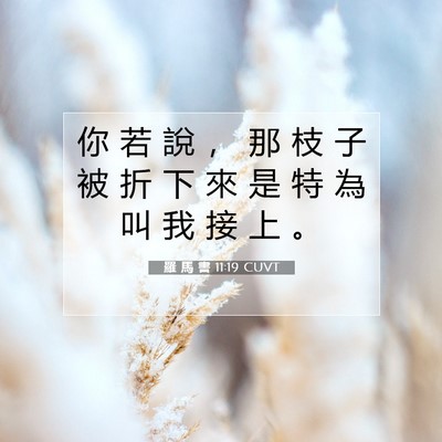 Picture 07 - 羅 馬 書 11:19 CUVT - 你 若 說 ， 那 枝 子 被 折 下 來 是 - Bible Verse Picture