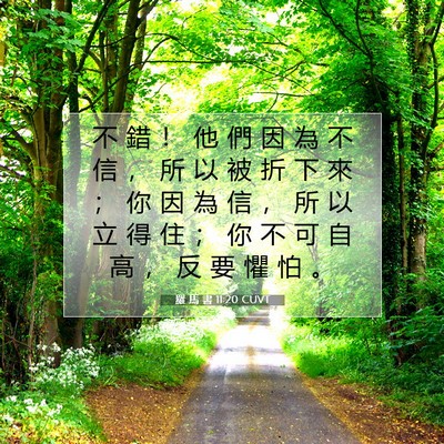 Picture 07 - 羅 馬 書 11:20 CUVT - 不 錯 ！ 他 們 因 為 不 信 ， 所 以 - Bible Verse Picture