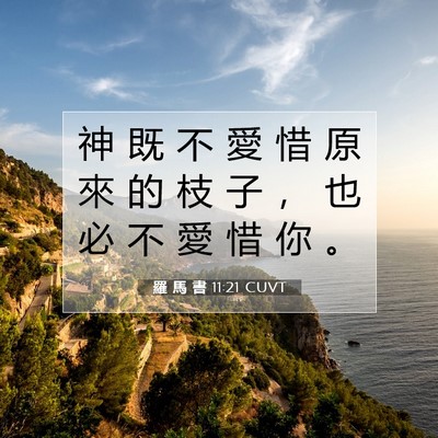 Picture 07 - 羅 馬 書 11:21 CUVT - 神 既 不 愛 惜 原 來 的 枝 子 ， 也 - Bible Verse Picture