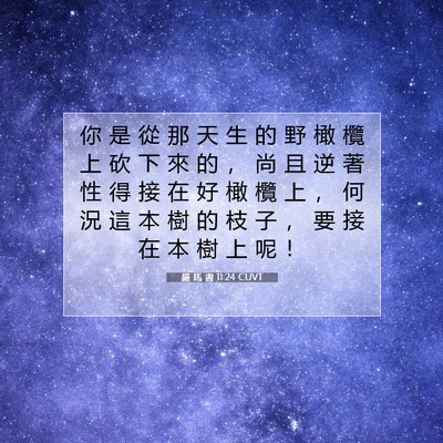 Picture 07 - 羅 馬 書 11:24 CUVT - 你 是 從 那 天 生 的 野 橄 欖 上 砍 - Bible Verse Picture