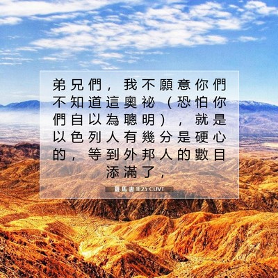 Picture 07 - 羅 馬 書 11:25 CUVT - 弟 兄 們 ， 我 不 願 意 你 們 不 知 - Bible Verse Picture