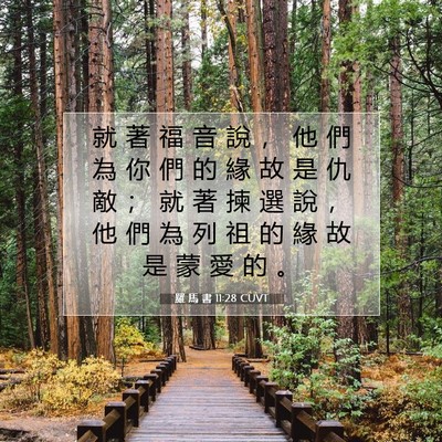 Picture 07 - 羅 馬 書 11:28 CUVT - 就 著 福 音 說 ， 他 們 為 你 們 的 - Bible Verse Picture