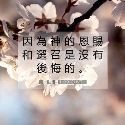 Picture 07 - 羅 馬 書 11:29 CUVT - 因 為 神 的 恩 賜 和 選 召 是 沒 有 - Bible Verse Picture