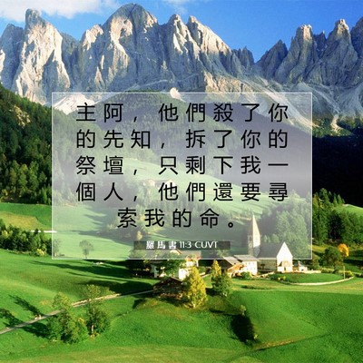 Picture 07 - 羅 馬 書 11:3 CUVT - 主 阿 ， 他 們 殺 了 你 的 先 知 ， - Bible Verse Picture