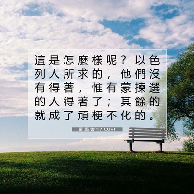 Picture 07 - 羅 馬 書 11:7 CUVT - 這 是 怎 麼 樣 呢 ？ 以 色 列 人 所 - Bible Verse Picture