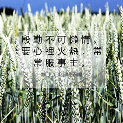 Picture 07 - 羅 馬 書 12:11 CUVT - 殷 勤 不 可 懶 惰 。 要 心 裡 火 熱 - Bible Verse Picture