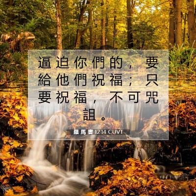 Picture 07 - 羅 馬 書 12:14 CUVT - 逼 迫 你 們 的 ， 要 給 他 們 祝 福 - Bible Verse Picture