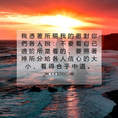 Picture 07 - 羅 馬 書 12:3 CUVT - 我 憑 著 所 賜 我 的 恩 對 你 們 各 - Bible Verse Picture