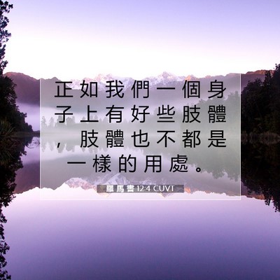 Picture 07 - 羅 馬 書 12:4 CUVT - 正 如 我 們 一 個 身 子 上 有 好 些 - Bible Verse Picture