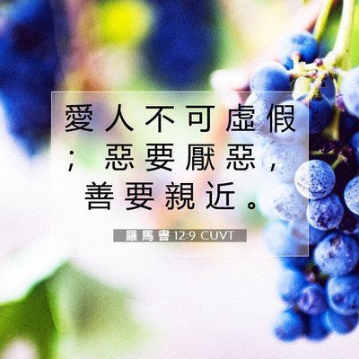 Picture 07 - 羅 馬 書 12:9 CUVT - 愛 人 不 可 虛 假 ； 惡 要 厭 惡 ， - Bible Verse Picture