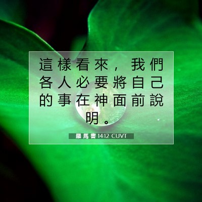 Picture 07 - 羅 馬 書 14:12 CUVT - 這 樣 看 來 ， 我 們 各 人 必 要 將 - Bible Verse Picture