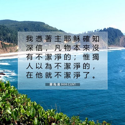 Picture 07 - 羅 馬 書 14:14 CUVT - 我 憑 著 主 耶 穌 確 知 深 信 ， 凡 - Bible Verse Picture