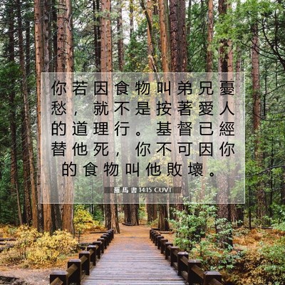 Picture 07 - 羅 馬 書 14:15 CUVT - 你 若 因 食 物 叫 弟 兄 憂 愁 ， 就 - Bible Verse Picture