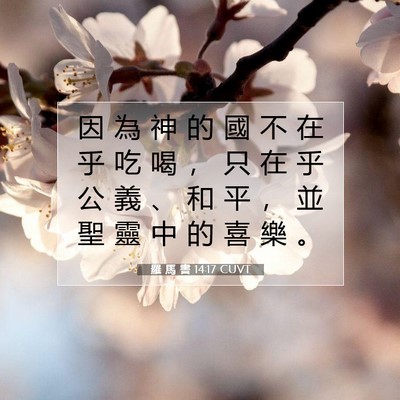 Picture 07 - 羅 馬 書 14:17 CUVT - 因 為 神 的 國 不 在 乎 吃 喝 ， 只 - Bible Verse Picture