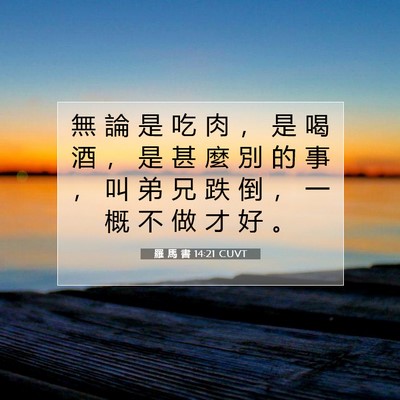 Picture 07 - 羅 馬 書 14:21 CUVT - 無 論 是 吃 肉 ， 是 喝 酒 ， 是 甚 - Bible Verse Picture