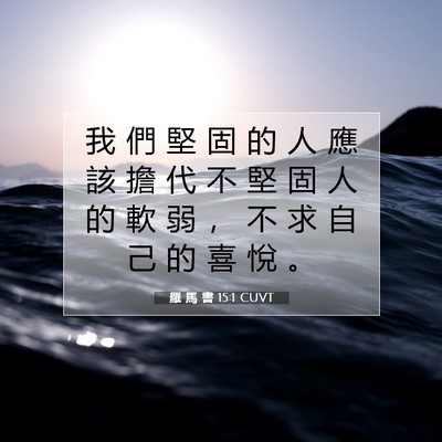 Picture 07 - 羅 馬 書 15:1 CUVT - 我 們 堅 固 的 人 應 該 擔 代 不 堅 - Bible Verse Picture