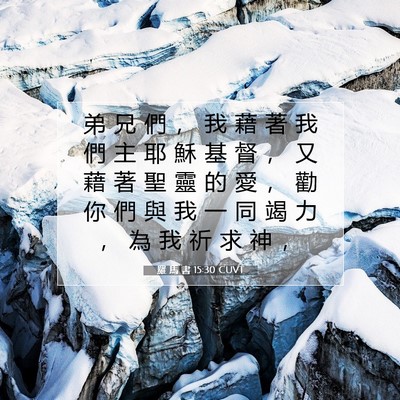 Picture 07 - 羅 馬 書 15:30 CUVT - 弟 兄 們 ， 我 藉 著 我 們 主 耶 穌 - Bible Verse Picture
