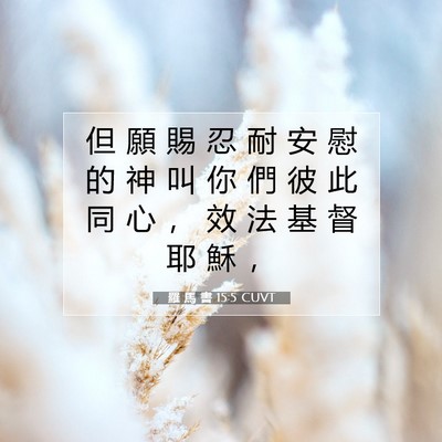 Picture 07 - 羅 馬 書 15:5 CUVT - 但 願 賜 忍 耐 安 慰 的 神 叫 你 們 - Bible Verse Picture