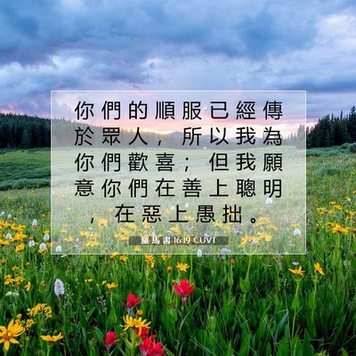 Picture 07 - 羅 馬 書 16:19 CUVT - 你 們 的 順 服 已 經 傳 於 眾 人 ， - Bible Verse Picture