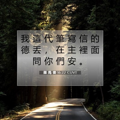 Picture 07 - 羅 馬 書 16:22 CUVT - 我 這 代 筆 寫 信 的 德 丟 ， 在 主 - Bible Verse Picture