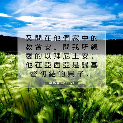 Picture 07 - 羅 馬 書 16:5 CUVT - 又 問 在 他 們 家 中 的 教 會 安 。 - Bible Verse Picture