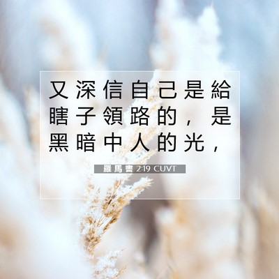 Picture 07 - 羅 馬 書 2:19 CUVT - 又 深 信 自 己 是 給 瞎 子 領 路 的 - Bible Verse Picture