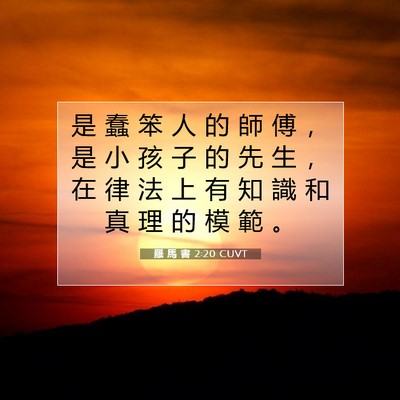 Picture 07 - 羅 馬 書 2:20 CUVT - 是 蠢 笨 人 的 師 傅 ， 是 小 孩 子 - Bible Verse Picture