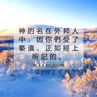 Picture 07 - 羅 馬 書 2:24 CUVT - 神 的 名 在 外 邦 人 中 ， 因 你 們 - Bible Verse Picture