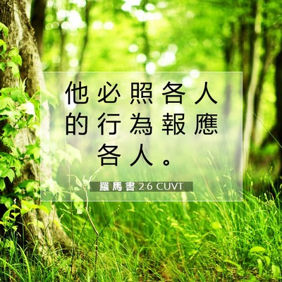 Picture 07 - 羅 馬 書 2:6 CUVT - 他 必 照 各 人 的 行 為 報 應 各 人 - Bible Verse Picture
