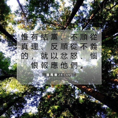 Picture 07 - 羅 馬 書 2:8 CUVT - 惟 有 結 黨 、 不 順 從 真 理 、 反 - Bible Verse Picture