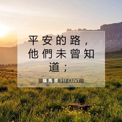 Picture 07 - 羅 馬 書 3:17 CUVT - 平 安 的 路 ， 他 們 未 曾 知 道 - Bible Verse Picture