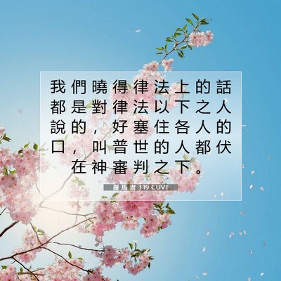 Picture 07 - 羅 馬 書 3:19 CUVT - 我 們 曉 得 律 法 上 的 話 都 是 對 - Bible Verse Picture