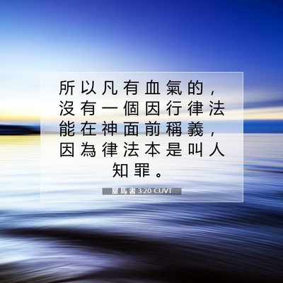 Picture 07 - 羅 馬 書 3:20 CUVT - 所 以 凡 有 血 氣 的 ， 沒 有 一 個 - Bible Verse Picture