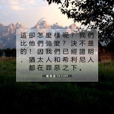 Picture 07 - 羅 馬 書 3:9 CUVT - 這 卻 怎 麼 樣 呢 ？ 我 們 比 他 們 - Bible Verse Picture