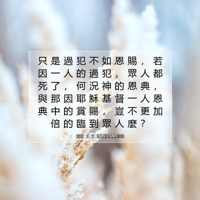 Picture 07 - 羅 馬 書 5:15 CUVT - 只 是 過 犯 不 如 恩 賜 ， 若 因 一 - Bible Verse Picture