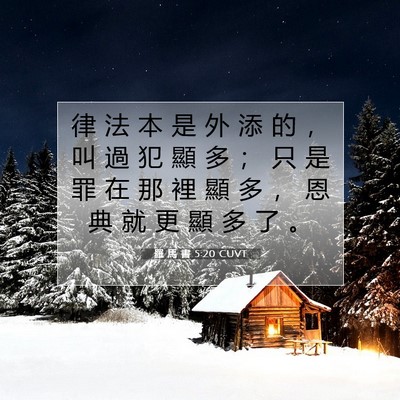 Picture 07 - 羅 馬 書 5:20 CUVT - 律 法 本 是 外 添 的 ， 叫 過 犯 顯 - Bible Verse Picture