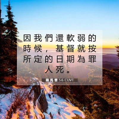 Picture 07 - 羅 馬 書 5:6 CUVT - 因 我 們 還 軟 弱 的 時 候 ， 基 督 - Bible Verse Picture