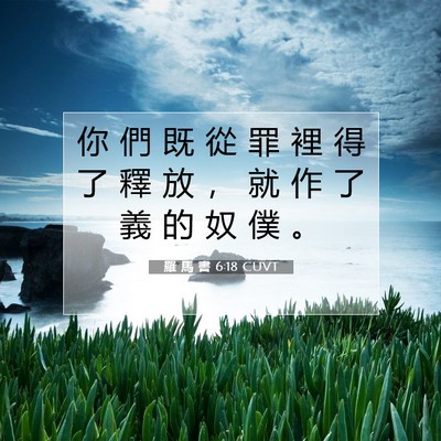 Picture 07 - 羅 馬 書 6:18 CUVT - 你 們 既 從 罪 裡 得 了 釋 放 ， 就 - Bible Verse Picture