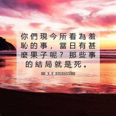 Picture 07 - 羅 馬 書 6:21 CUVT - 你 們 現 今 所 看 為 羞 恥 的 事 ， - Bible Verse Picture