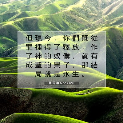 Picture 07 - 羅 馬 書 6:22 CUVT - 但 現 今 ， 你 們 既 從 罪 裡 得 了 - Bible Verse Picture