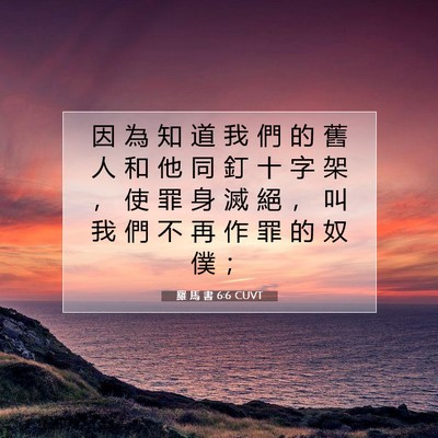Picture 07 - 羅 馬 書 6:6 CUVT - 因 為 知 道 我 們 的 舊 人 和 他 同 - Bible Verse Picture