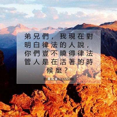 Picture 07 - 羅 馬 書 7:1 CUVT - 弟 兄 們 ， 我 現 在 對 明 白 律 法 - Bible Verse Picture